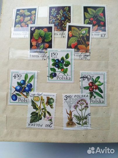 Марки Растения разных стран 60-80 х гг