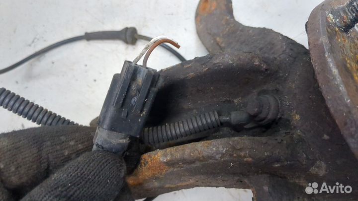 Ступица (кулак, цапфа) Ford Fusion, 2007