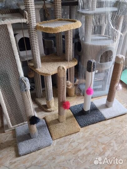 Столбик когтеточка