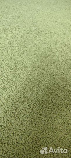 Ковровое покрытие