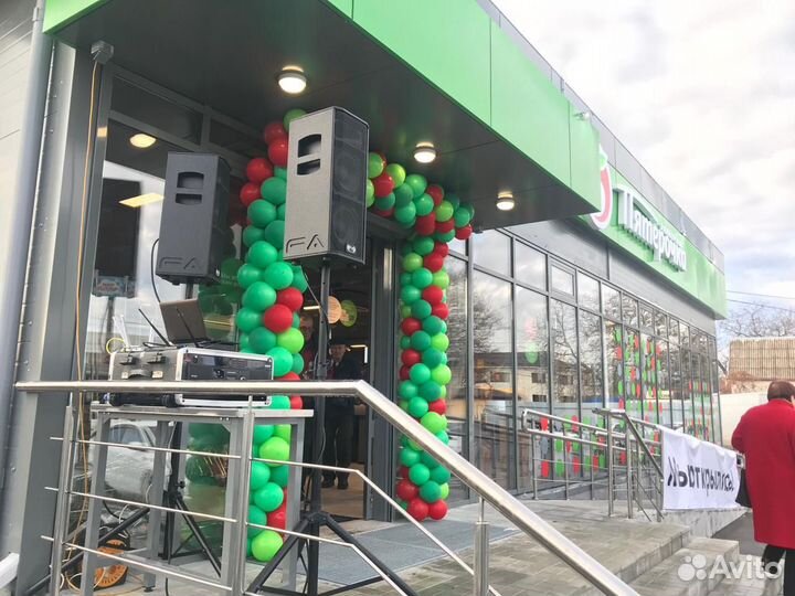 Колонки FeelAudio 208 Rms 500watt