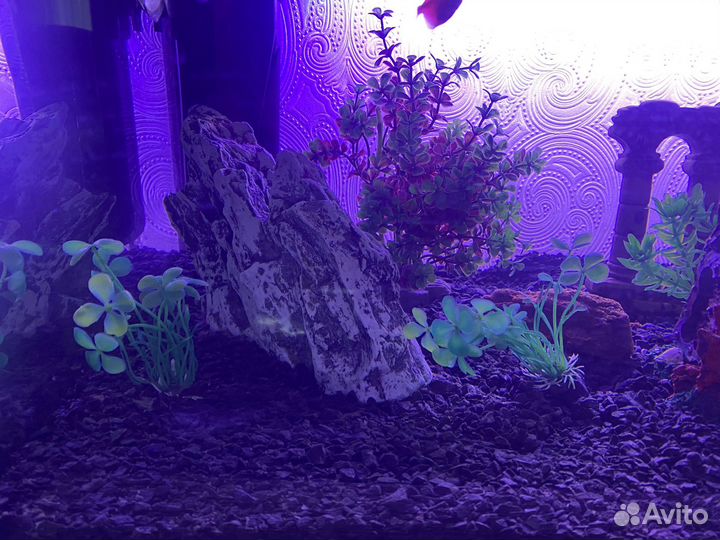 Аквариум со всем оборудованием