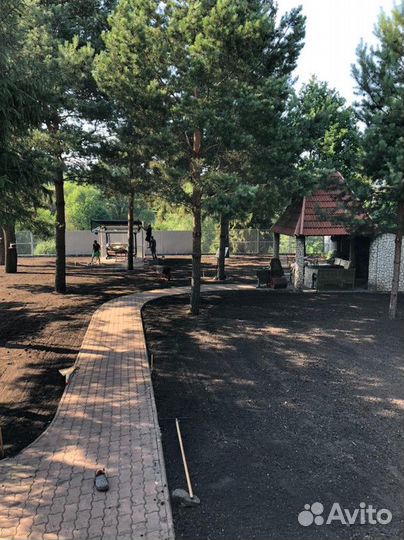 Рулонный газон под ключ