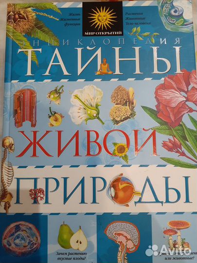 Энциклопедия 