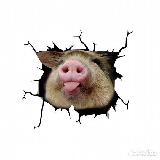 Автомобильные наклейки 3D