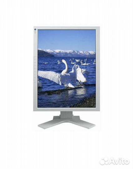Монитор Eizo ColorEdge CG211