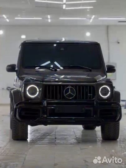 Кенгурятник