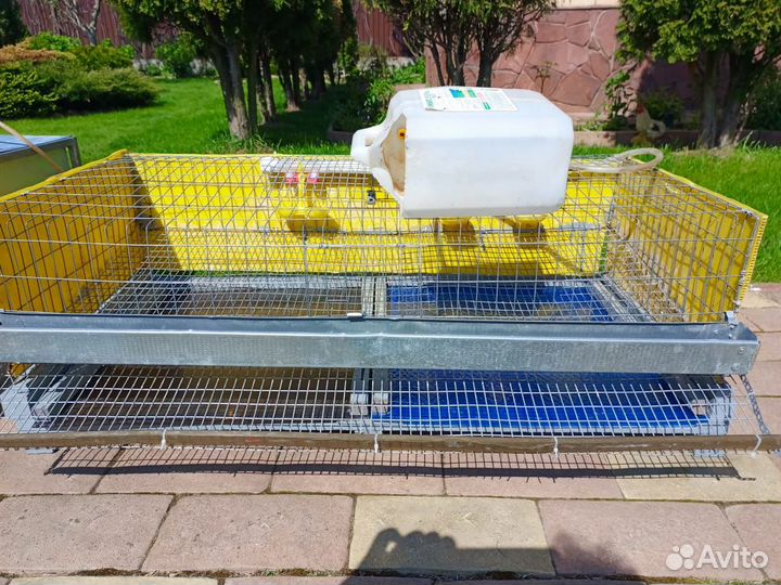 Клетки для перепелов бу