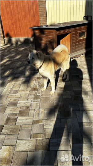 Тротуарная плитка с завода