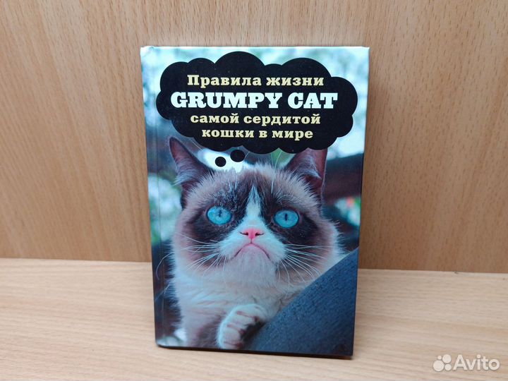 Правила жизни Grumpy cat