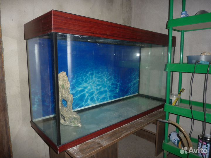Аквариумы 200