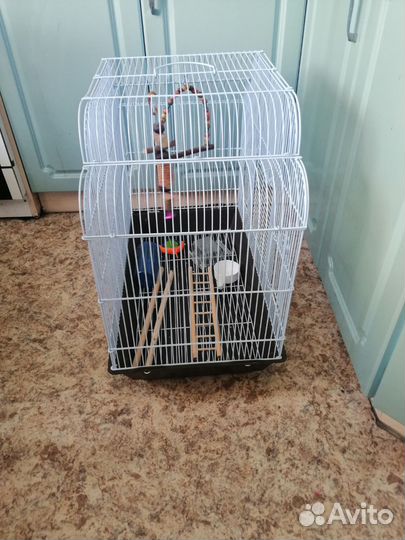 Клетка для попугая бу