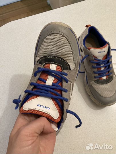 Кроссовки geox 34