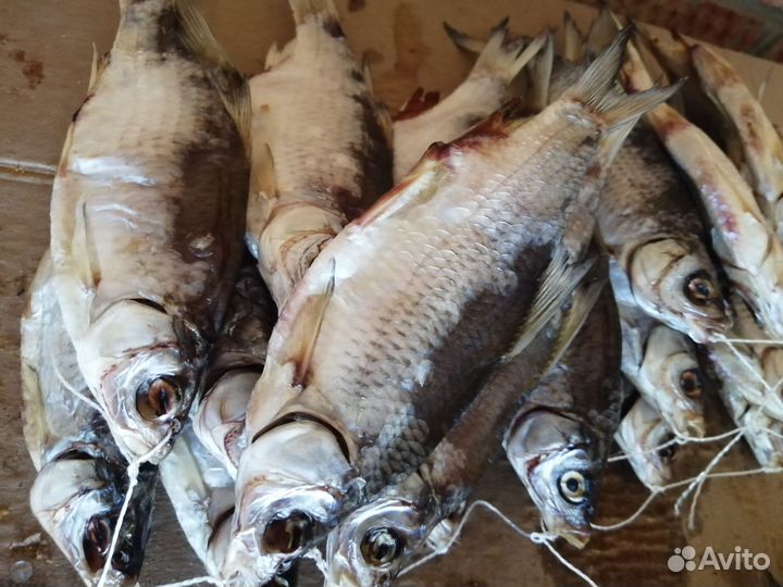 Тарань жирная вяленая