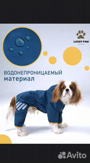 Дождевик для собаки