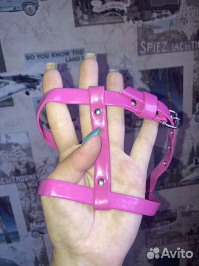 Шлейка для собачки