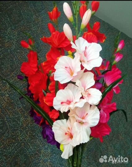 Цветы гладиолусы декоративные