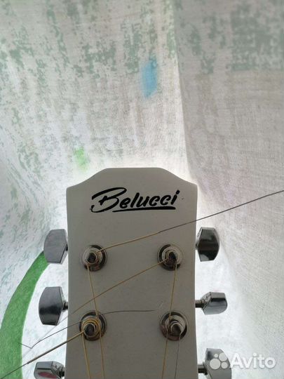 Гитара belucci