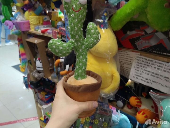 Кактус танцующий