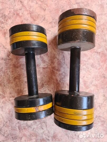 Гантели разборные