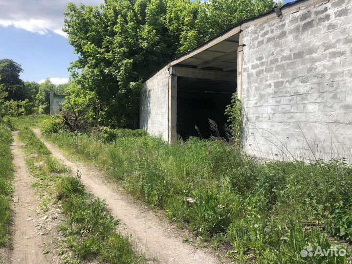 Сельское хозяйство