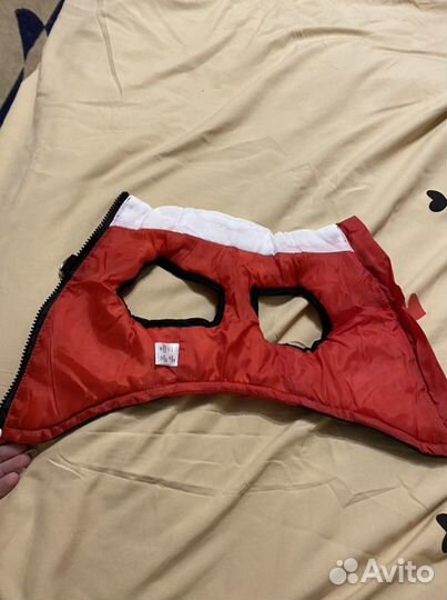 Одежда для маленьких собак