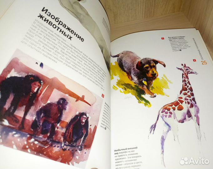 3 книги для художников