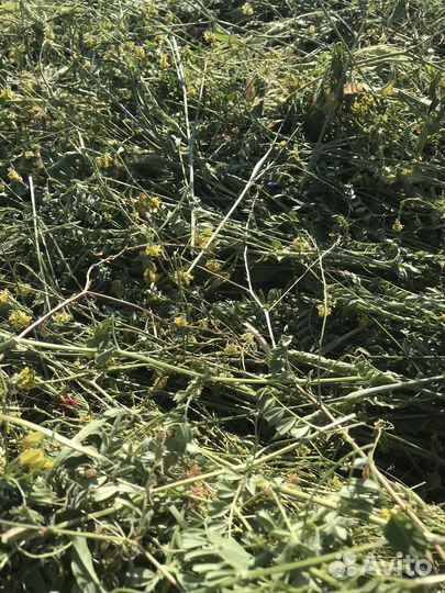 Сено в тюках