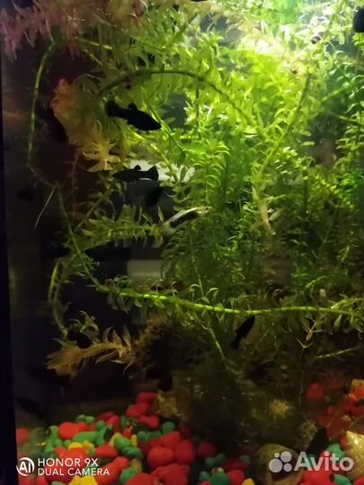 Украшение для аквариума