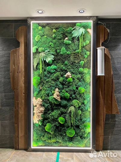 Мох. Озеленение. Фитостена. Живые растения. Декор