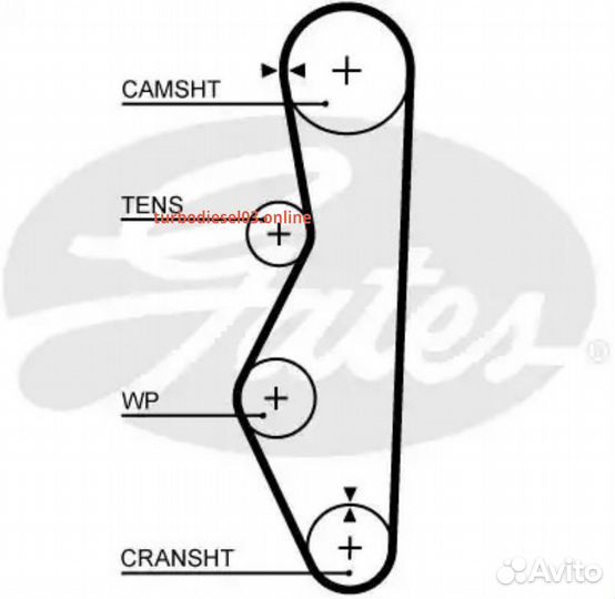 111x19 Ремень грм 5521XS gates