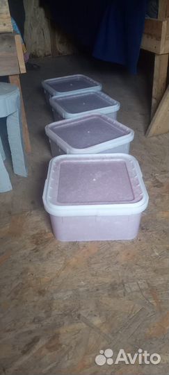 Икра красная 2023 Камчатка