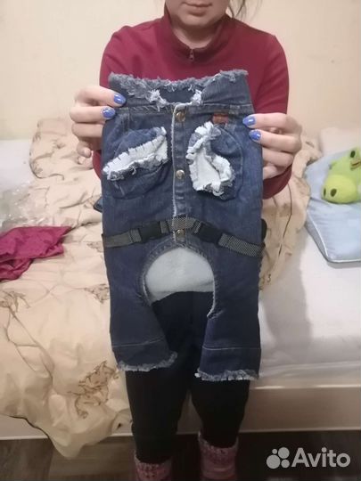 Джинсовый комбинезон для кошек