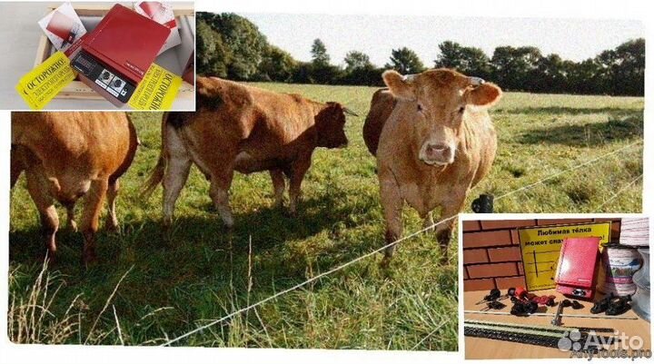 Электропастух