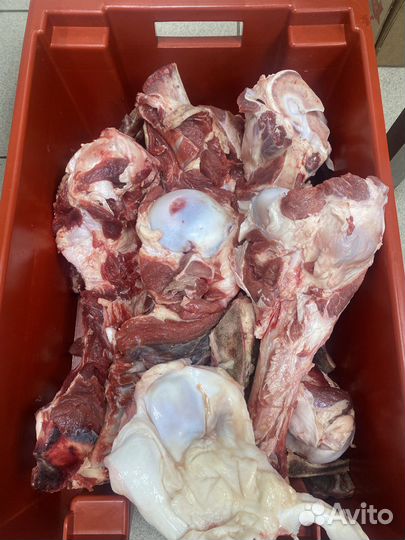 Кости говяжьи