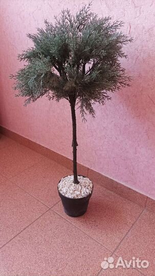 Искусственные цветы IKEA