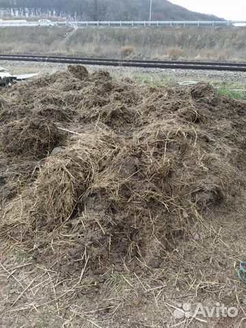 Конский навоз