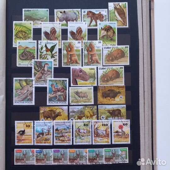 Почтовые марки животные, насекомые, бабочки