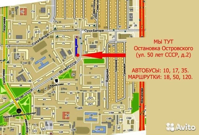 Циперметрин для обработки участка против насекомых
