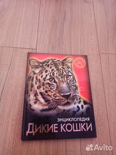 Детская энциклопедия