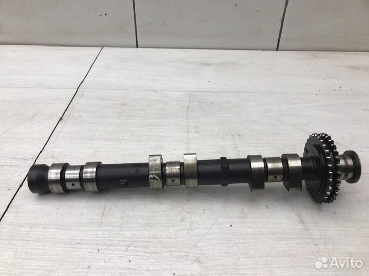 Распредвал выпускной Suzuki Grand Vitara 1 H25Y