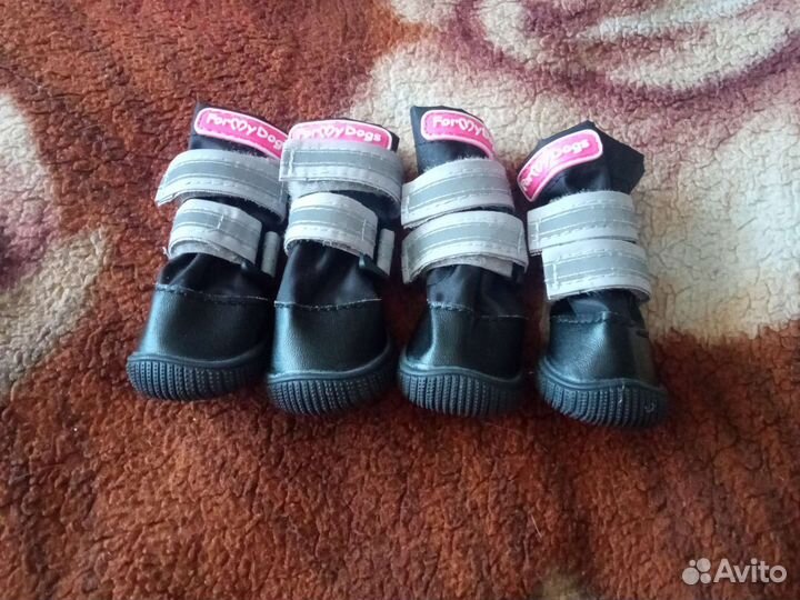 Сапоги для собак