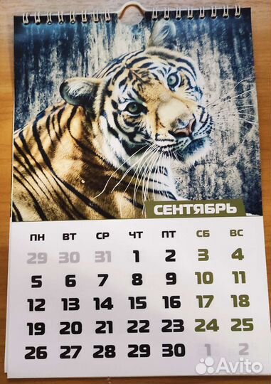 Календарь настенный 2022 год с тиграми
