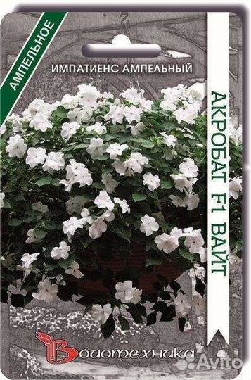 Импатиенс ампельный (бальзамин)