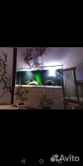 Изготовление аквариумов на заказ