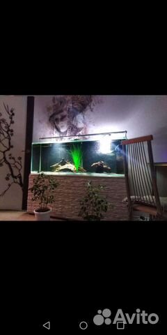 Изготовление аквариумов на заказ