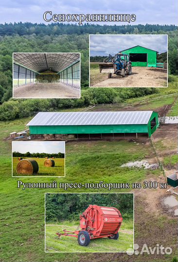 Животноводческая ферма (комплекс)