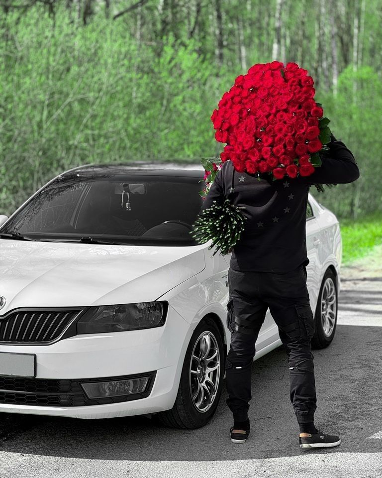 Skoda Rapid: фото владельца