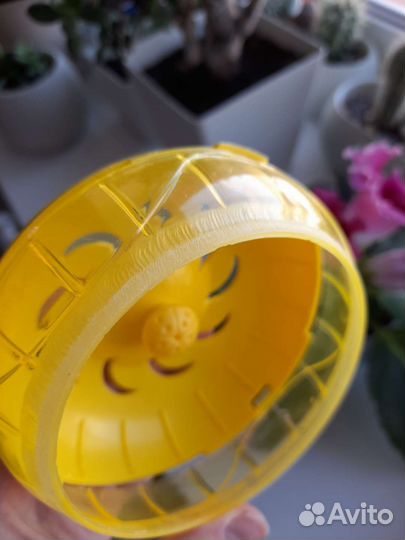 Домик, колесо, шар для хомяка