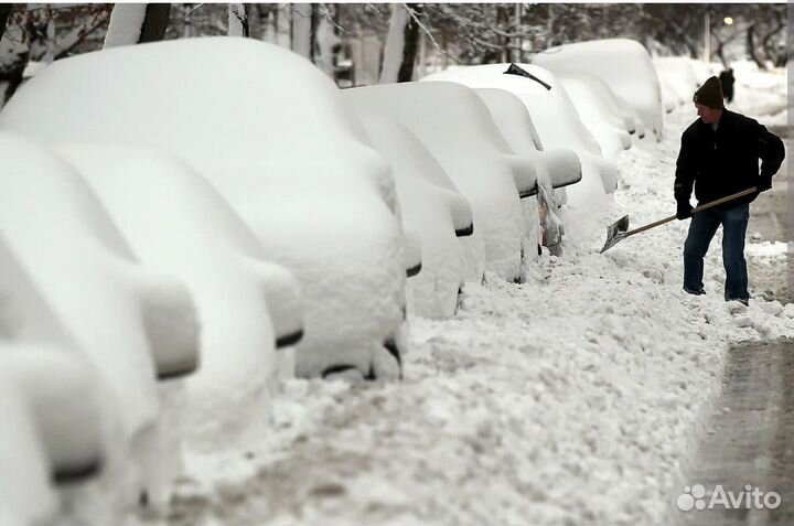 Грузчики рт